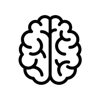 Brain Tumor Detection